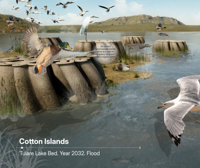 2024 Winner: Sustainable Solutions